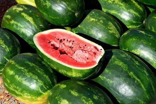 娱乐吃瓜视频模板大全